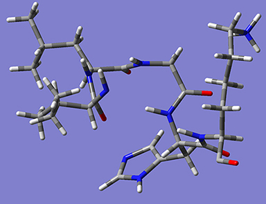Image of the molecule with hydrogens